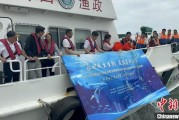 姻缘测试浙江今年计划放流种类海洋水生生物苗种超15亿单位