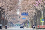 姻缘测试共建“花园城市” 北京这场议政会“百花齐放”